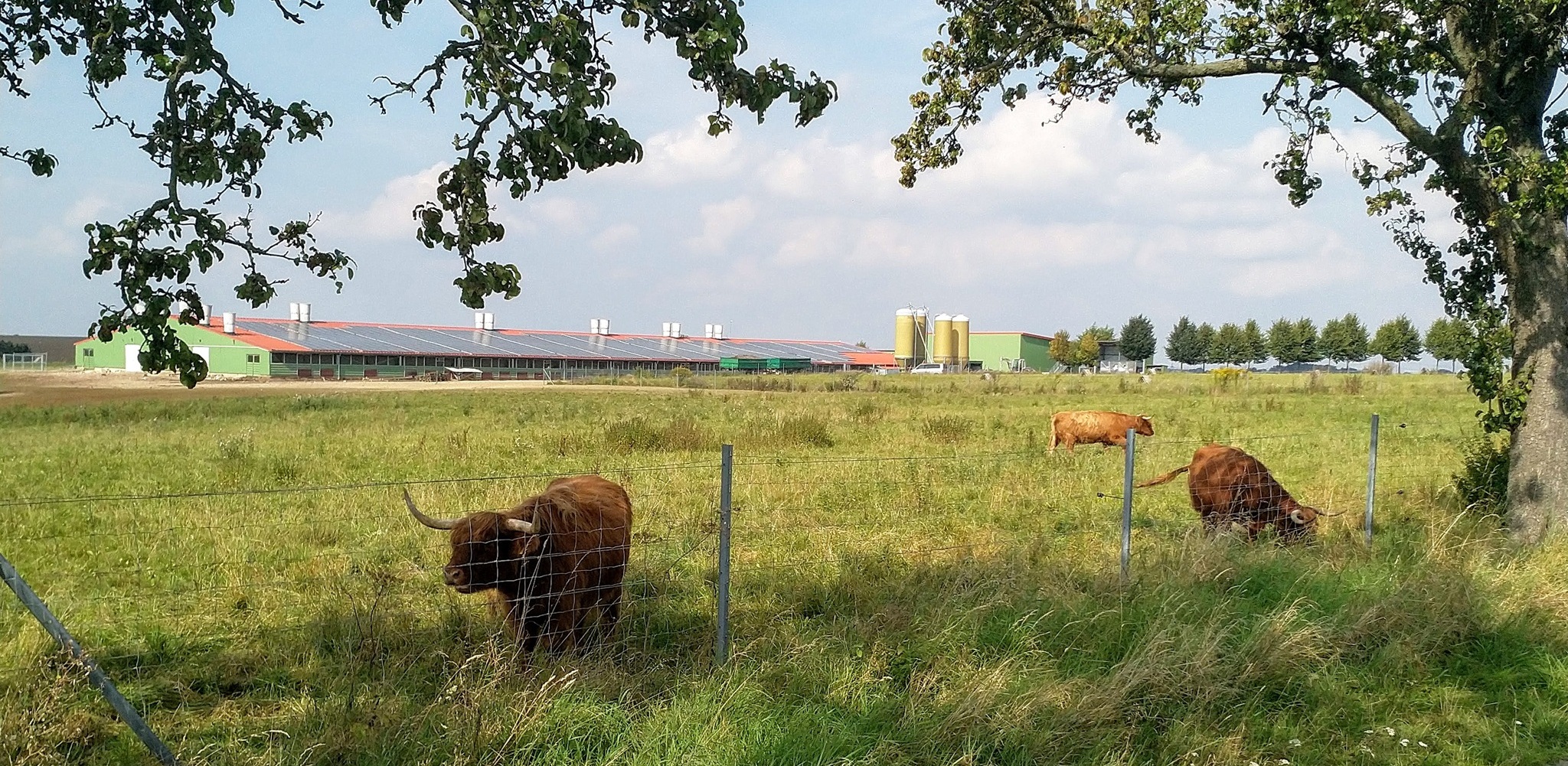 Landidylle Schönberg Landidylle Schönberg