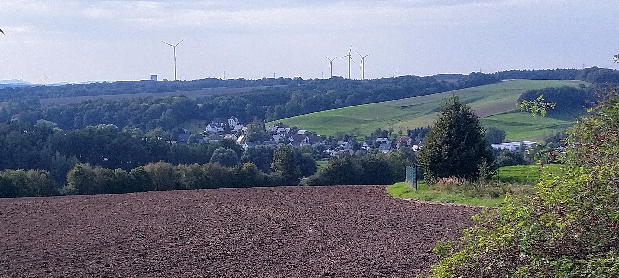 Blick auf Mülsen Blick auf Mülsen