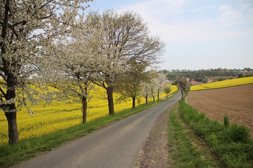 Radweg bei Roßwein