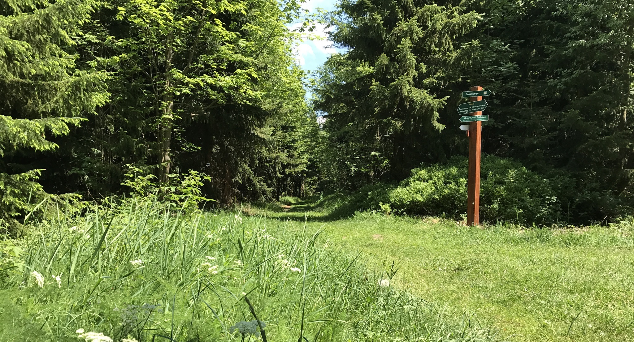 Kammweg zur Steinkuppe