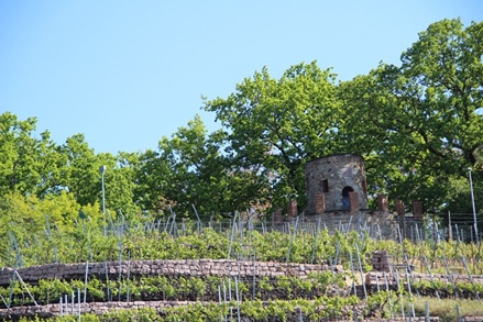 Wartturm Weinböhla